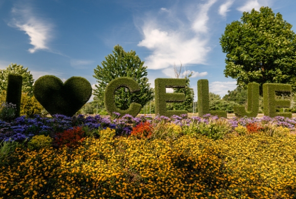 I love Celje cvetlična greda