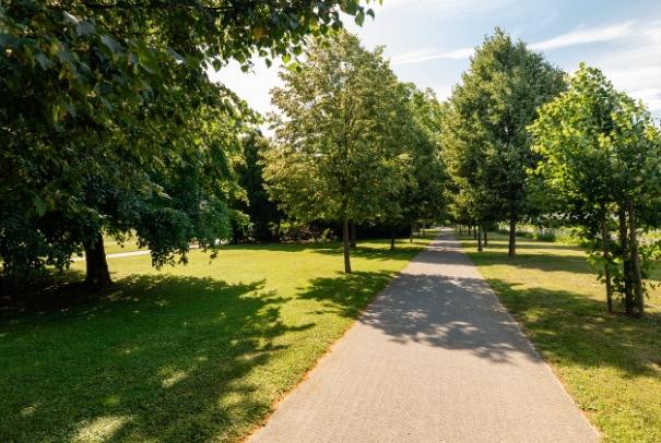 Pešpot skozi park